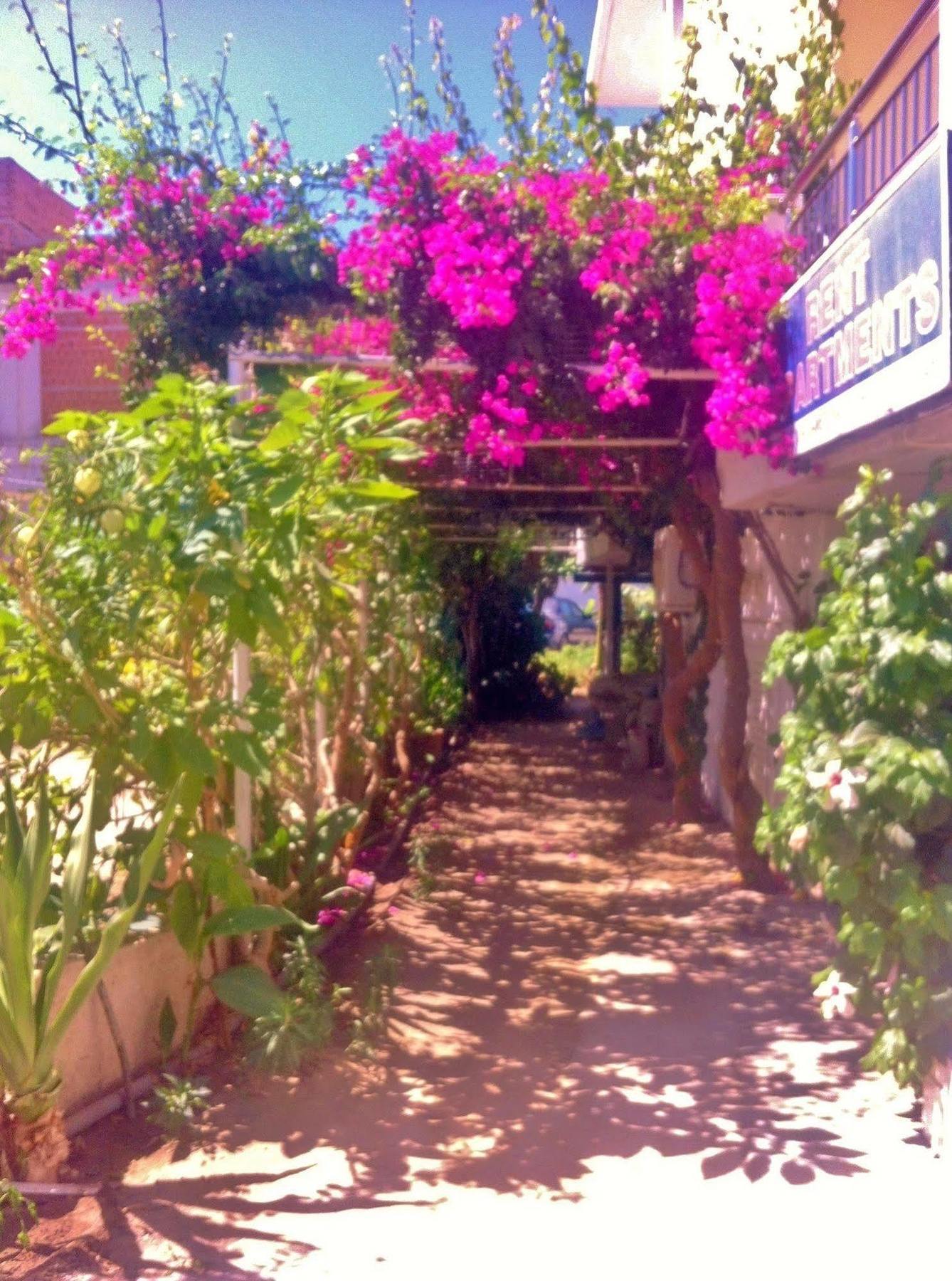 Apollonia Apartments Agia Pelagia Eksteriør billede